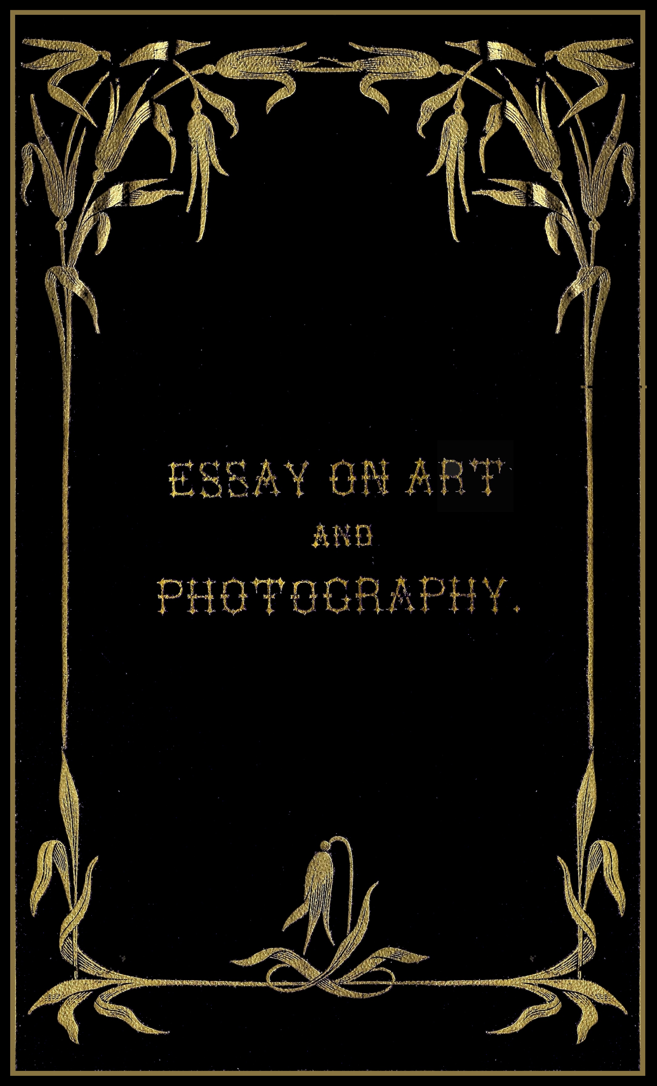 essay on art and photography