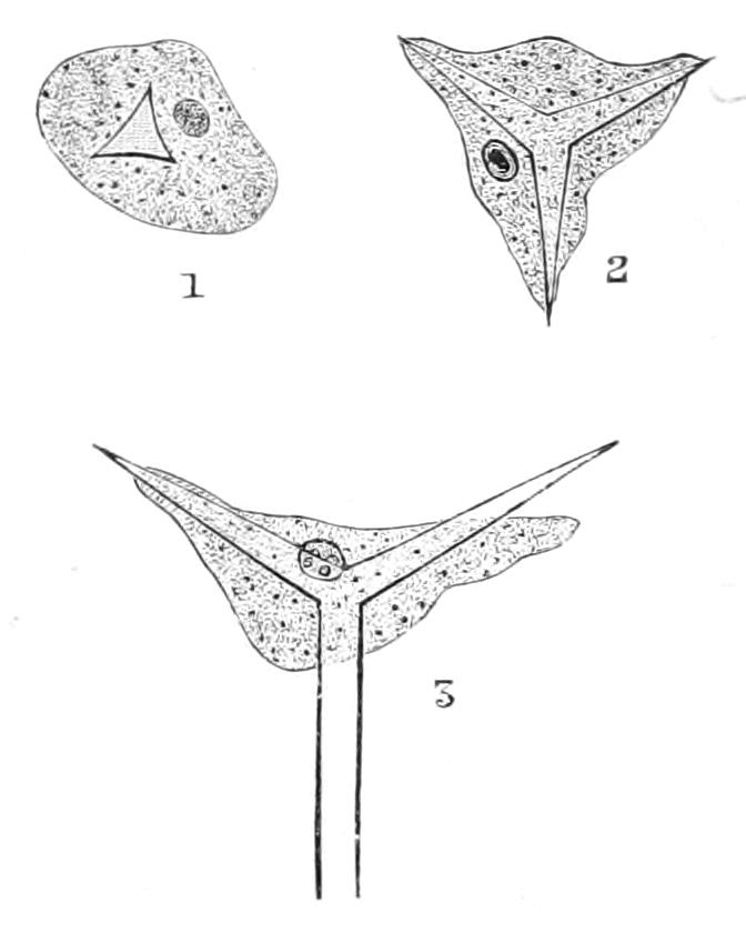 fig117