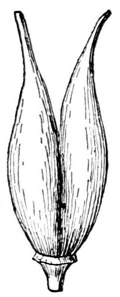 Fig. 190