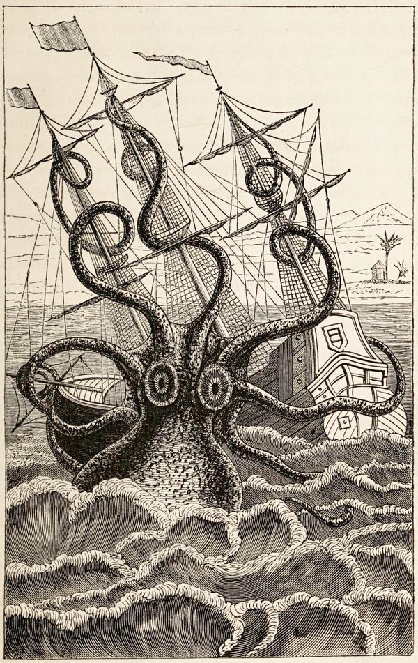 Drawing of a giant squid attacking a ship
