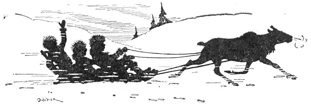 Reindeer pulling sled