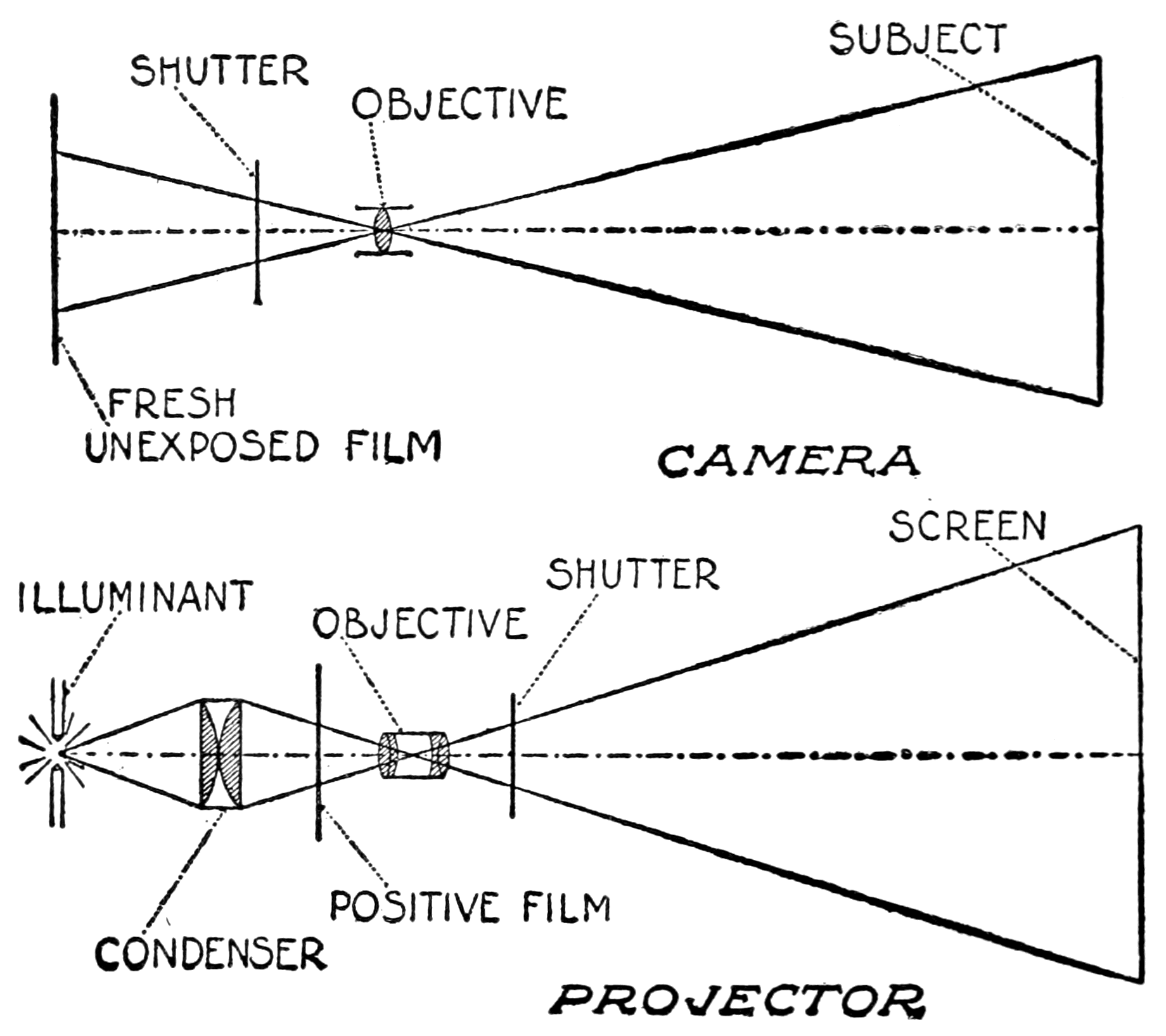 Camera: Shutter; Objective; Subject; Fresh Unexposed Film. 
Projector: Illuinant; Condenser; Positive film; Objective; Shutter; Screen