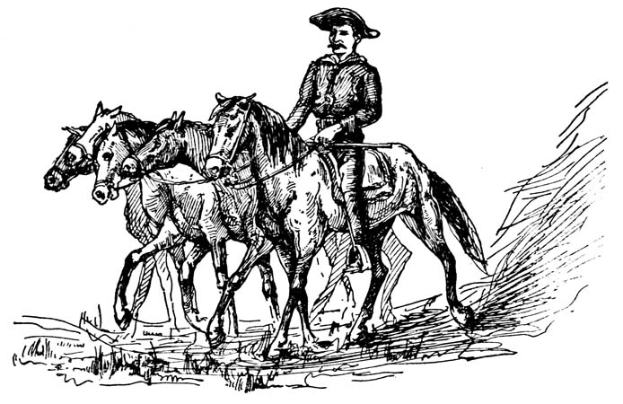 Man riding one horse and leading four others