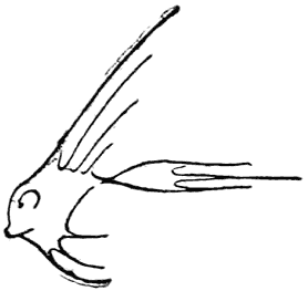 (A Little Song Written by Don Dickerman for
David’s Birthday Party)