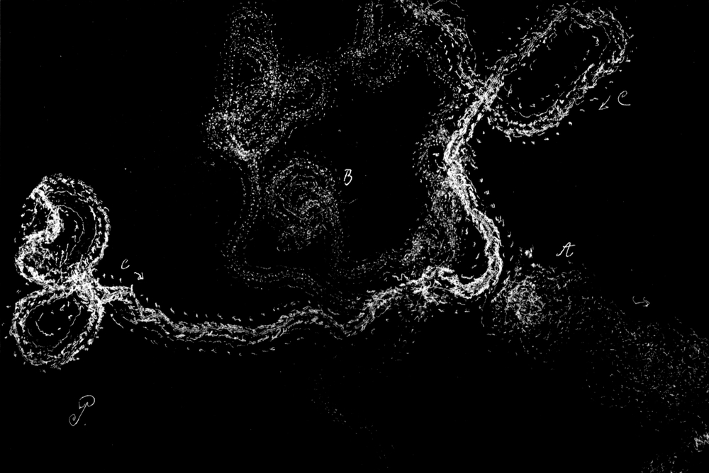 Unorientierte Bewegung bei diffusem
  Licht