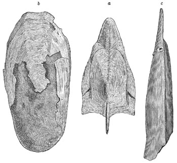 Fig. 38.