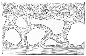 Fig. 40.