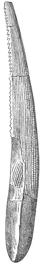 Fig. 88.