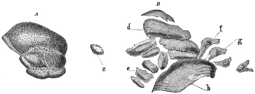 Fig. 103.