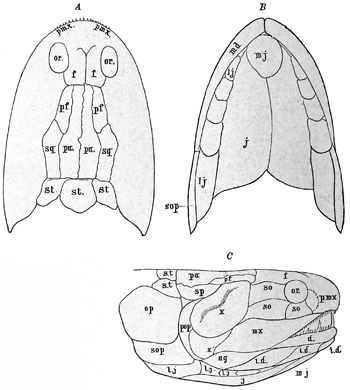 Fig. 153.