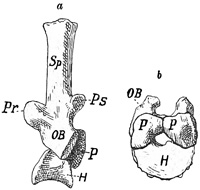 Fig. 269.