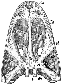 Fig. 278.