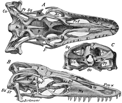 Fig. 341.