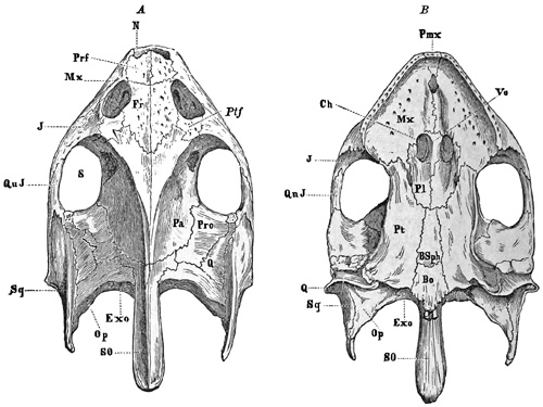 Fig. 391.