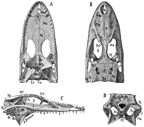 Fig. 407.