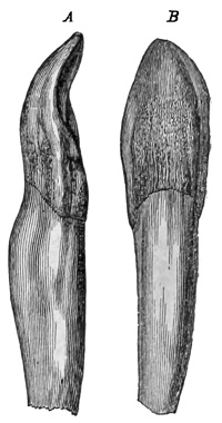 Fig. 432.