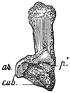 Fig. 614.