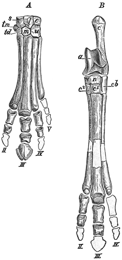 Fig. 634.