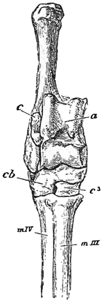 Fig. 686.