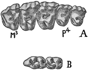 Fig. 712.