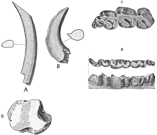 Fig. 721.