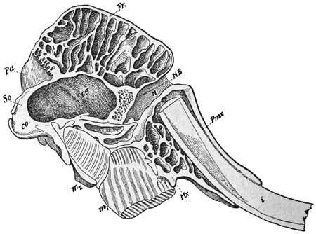 Fig. 726.