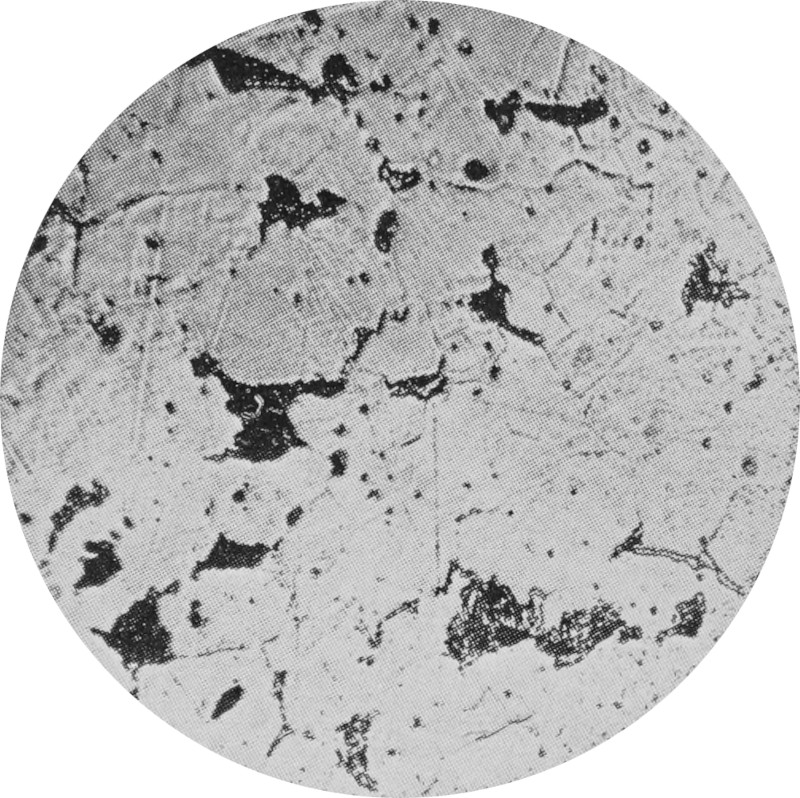 The magnified cross-section of a hypo-eutectoid
                steel bar shows dark pearlite inclusions in a
                light-colored ferrite structure.