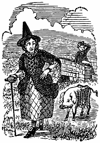 Old woman with pointed hat and pig.