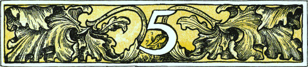 Kopfstück Kapitel 5