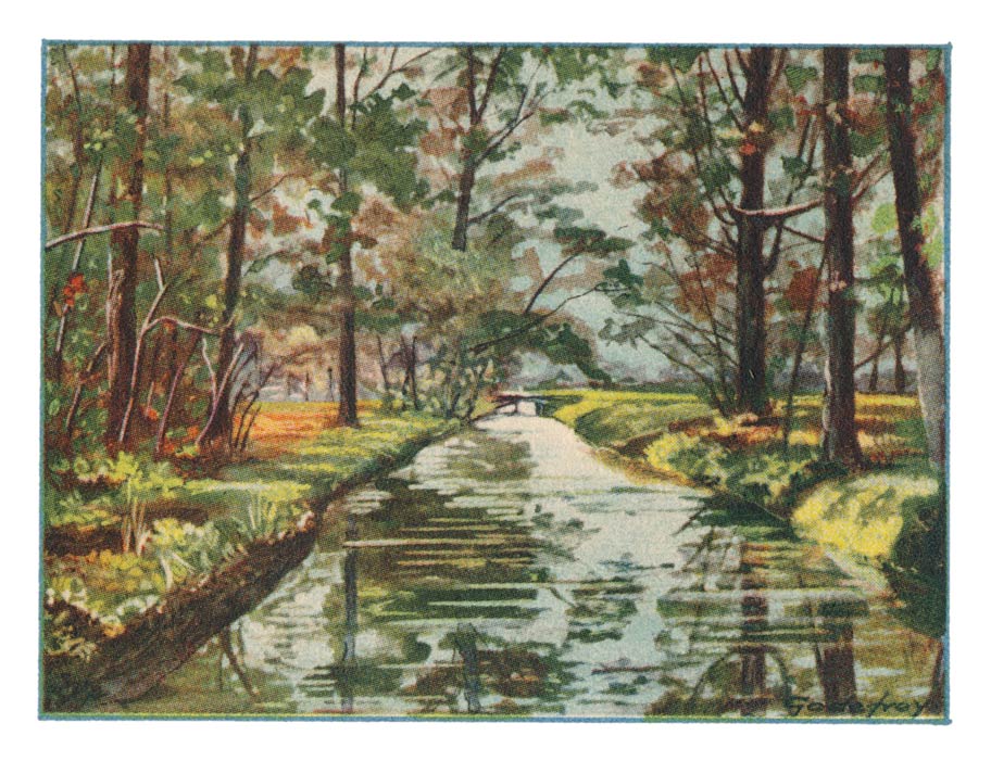 65. ROTTERDAM, Omgeving