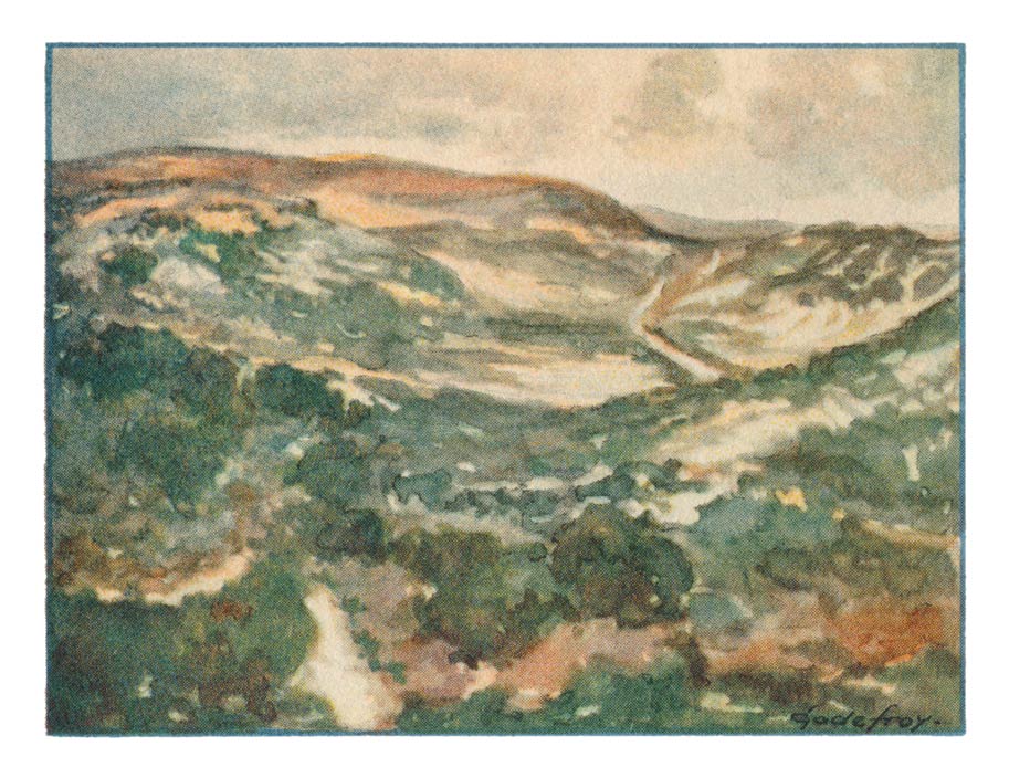 73. KIJKDUIN, Duingezicht