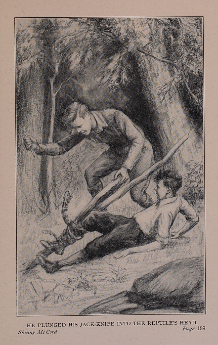 HE PLUNGED HIS JACK-KNIFE INTO THE REPTILE'S HEAD.