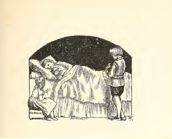 Your brother has a falcon