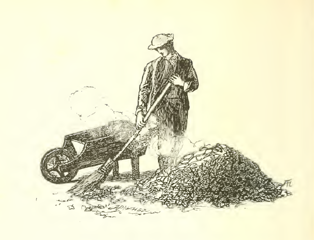 If hope grew on a bush