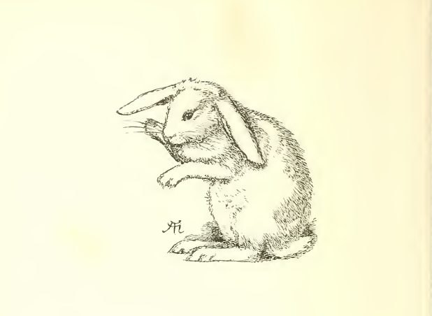 When the cows come home