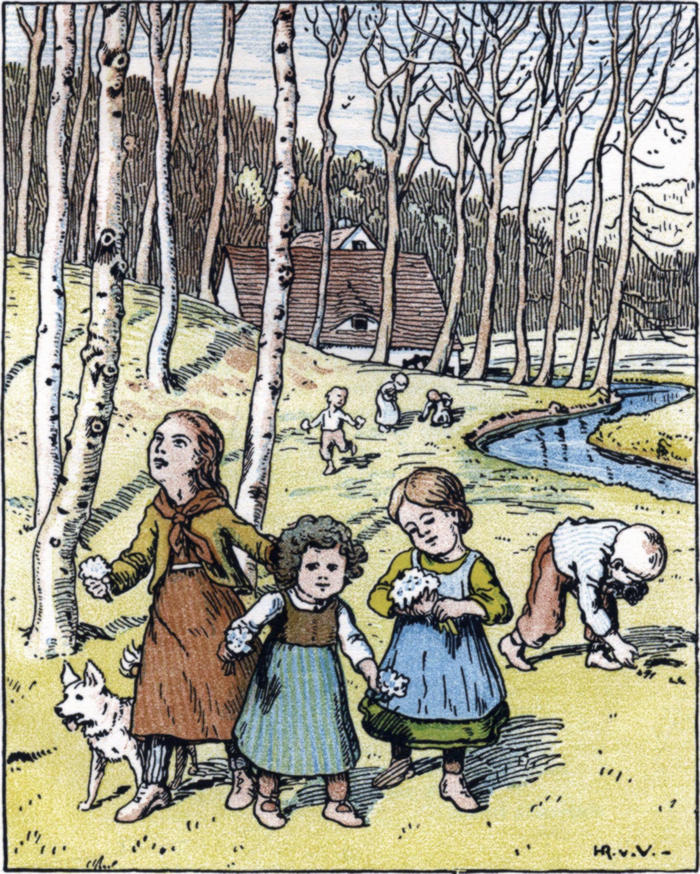 Kinder pflücken Blumen in
  einem lichten Birkenwald