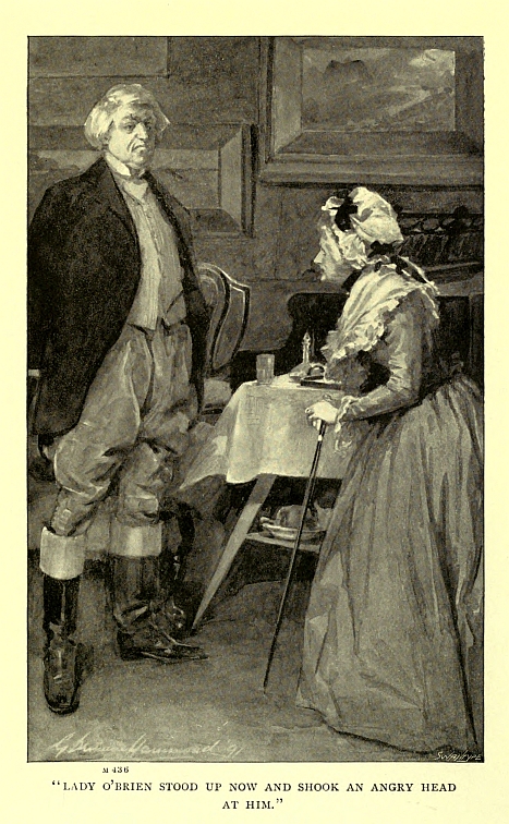 "LADY O'BRIEN STOOD UP NOW AND SHOOK AN ANGRY HEAD AT HIM."