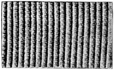 Hairline in 4 shades