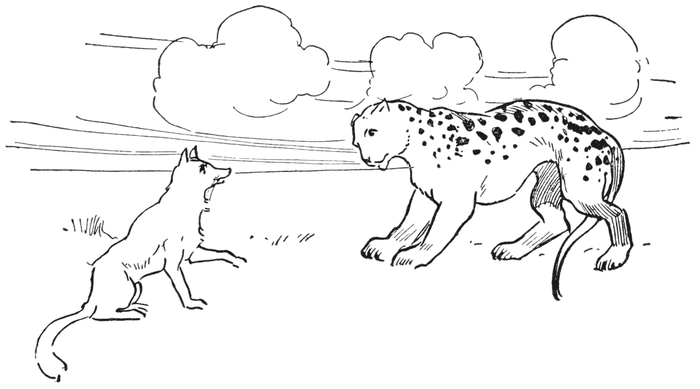 ‘What seems to be the matter?’