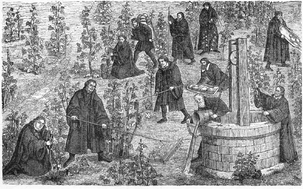 Der Weinberg des Herrn