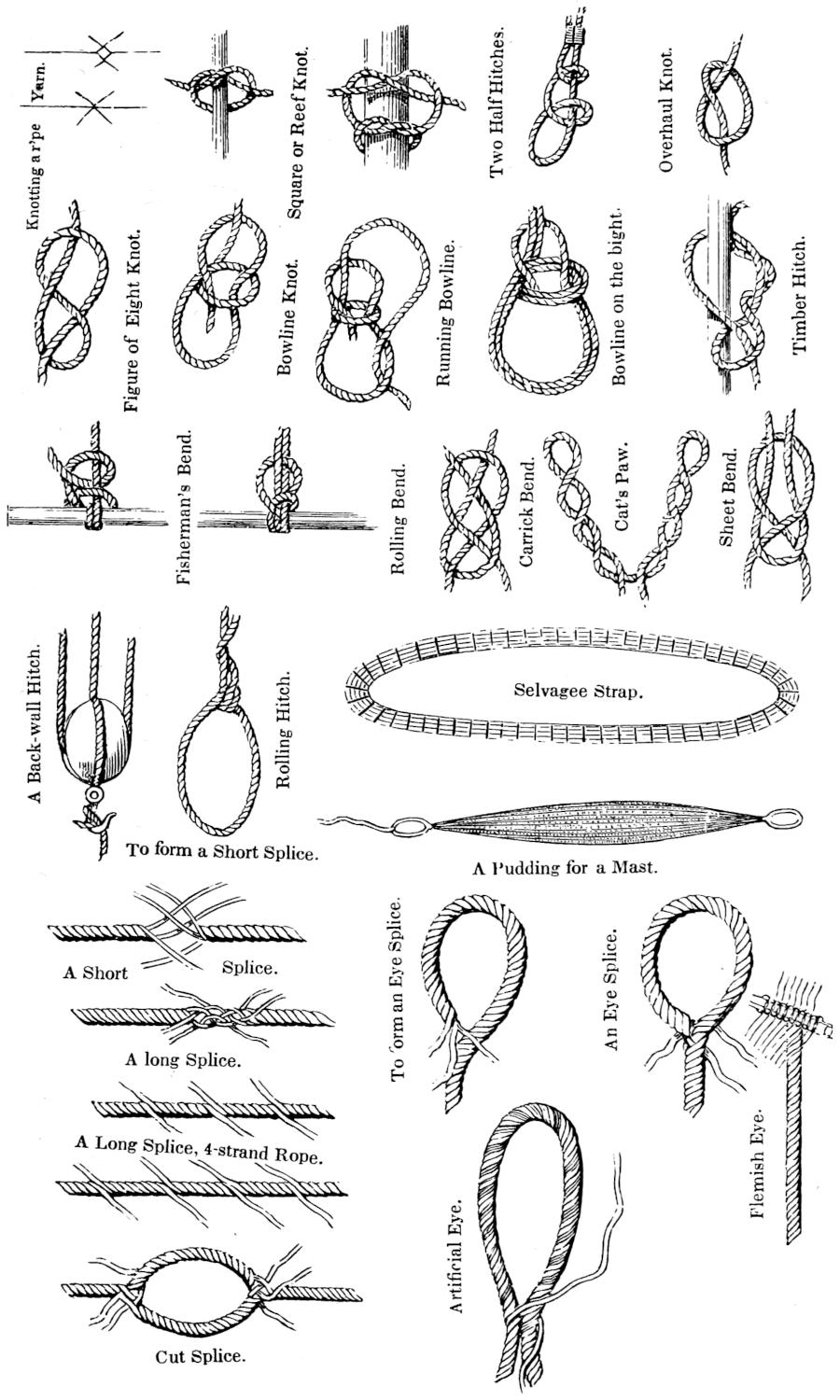 Various knots and hitches