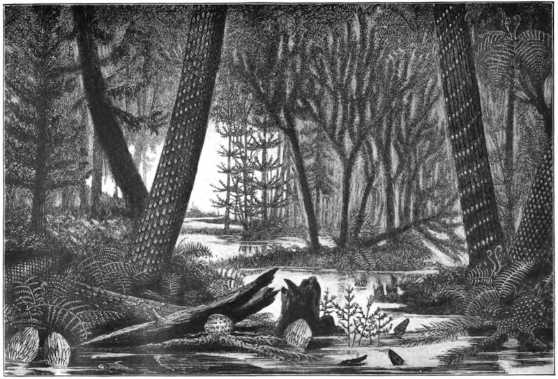 Painting of prehistoric landscape