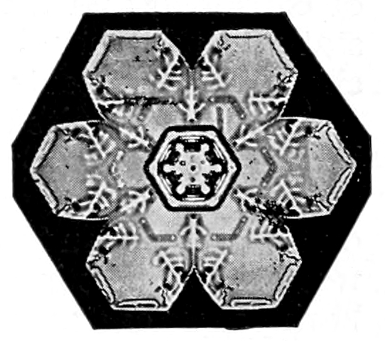 Snow crystal