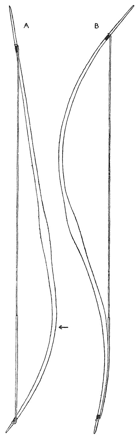 Fig. 13