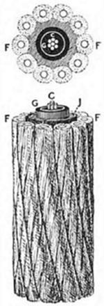 A submarine
telegraph cable — shown in cross-section and perspective, with a
central copper core (C), gutta-percha insulation (G, J), and outer
steel wire armour strands (F) — as used in transatlantic cable laying
from the 1850s onwards.