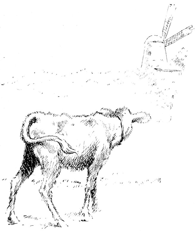 Black and white line drawing of a cow standing in a field, facing away toward a windmill on a distant hill.