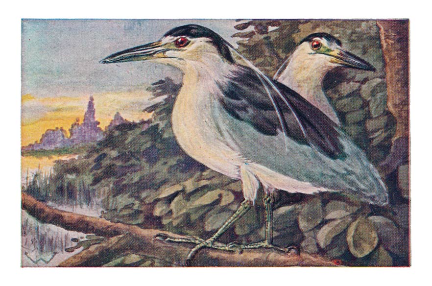 39