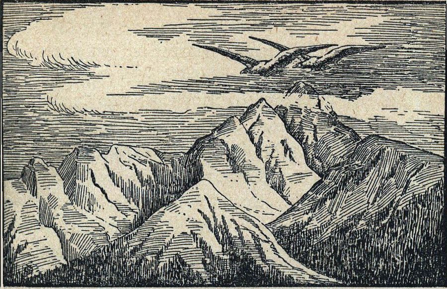 Landschaft