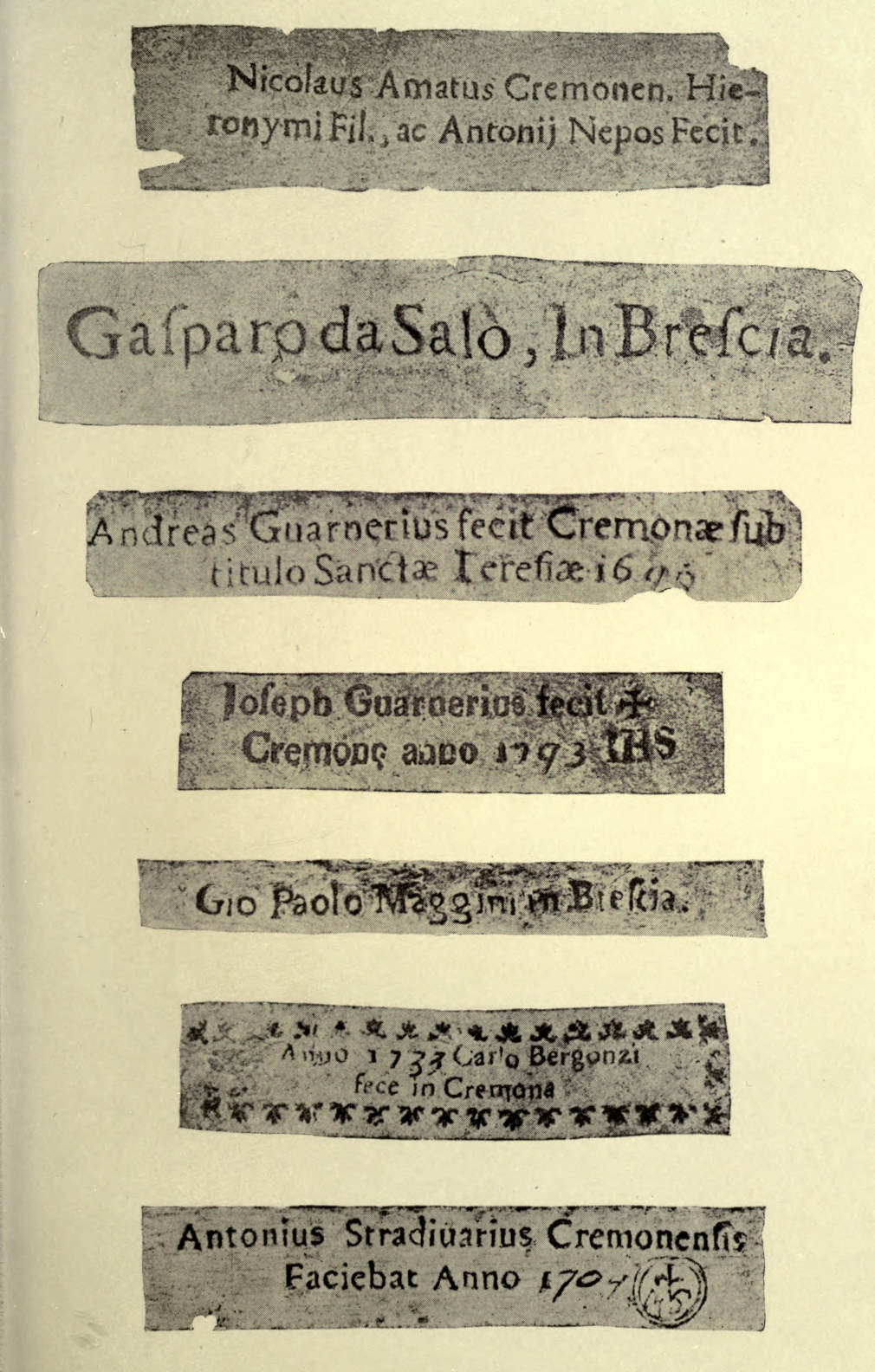 Names of violinists