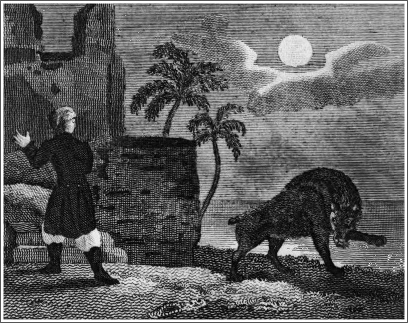 Belzoni encounters a hyena
